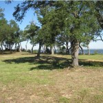 370296_0062500 370296_0062500