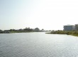 Little Sabine bay view
