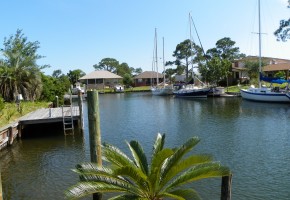 Canal palm.JPG r
