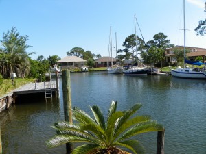Canal palm.JPG r
