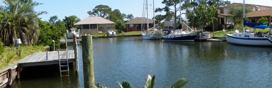Canal palm.JPG r Canal palm.JPG r