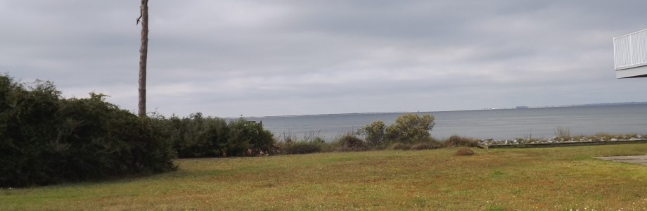 DSCF3774